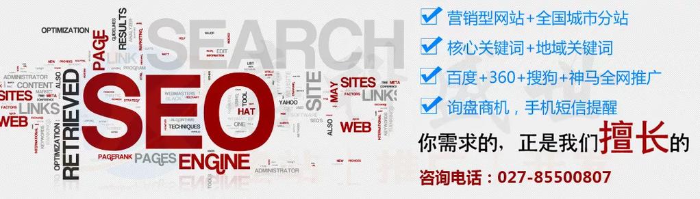 为企业提供网站建设与推广应用解决方案